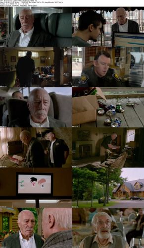 Remember 2015 BRRip XviD AC3-EVO