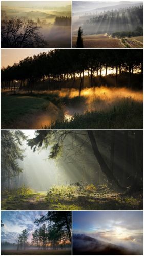 Fog wallpapers (Part 1)