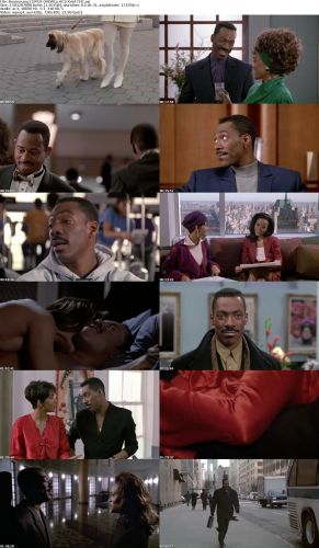 Boomerang 1992 DVDRIp AC3 Xvid-THC