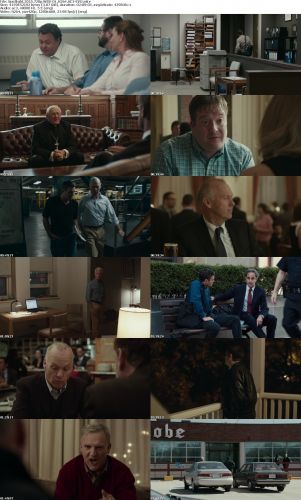 Spotlight 2015 720p WEB-DL H264 AC3-EVO