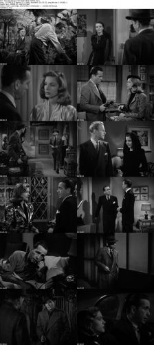 The Big Sleep 1946 AAC MP4-Mobile