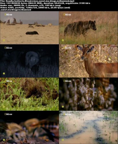 National Geographic - Deadly Instincts: Blood Lines (2015) 720p HDTV x264-ASCENDANCE