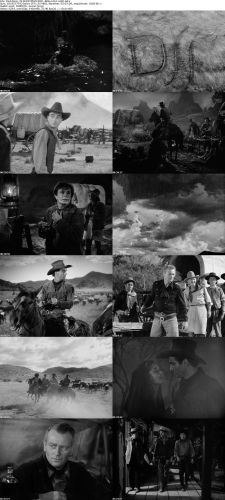 Red River 1948 REMASTERED 480p x264-mSD