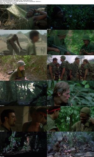 Platoon 1986 H264 720p BluRay AAC PapaFatHead