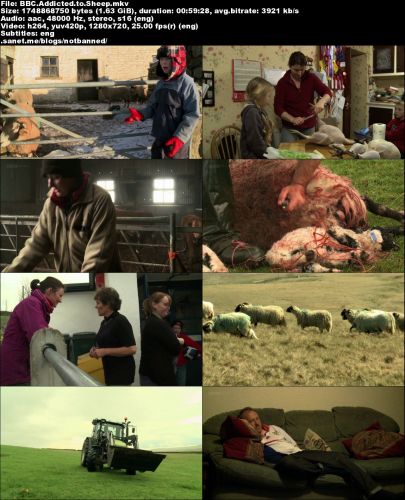 BBC - Addicted to Sheep (2016) 720p HDTV x264-MVGroup
