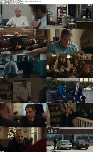 Spotlight 2015 DVDRip XviD-EVO