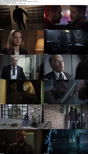 Badge Of Honor 2015 BRRip x264 720p-NPW
