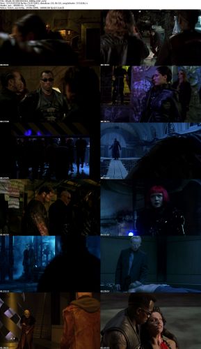 Blade II 2002 H264 1080p AAC PapaFatHead m4v