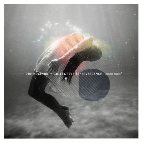 Dre HoÄ�evar - Collective Effervescence (2016)