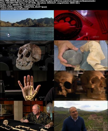 PBS Nova - Alien from Earth: The Little People of Flores (2008) 720p HDTV x264-MVGroup
