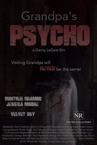 Grandpas Psycho 2015 DVDRip X264 AC3-PLAYNOW