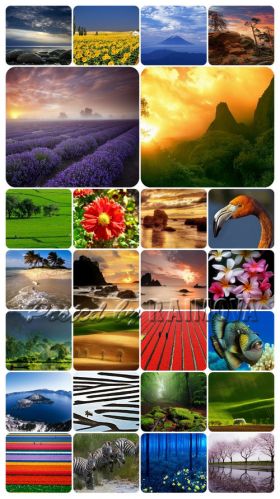 Photo Gallery - Beautiful World#11