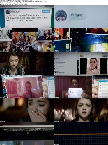 The Cyberbully 2015 DVDRip x264-TASTETV