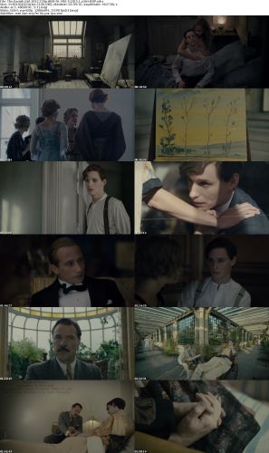 The Danish Girl 2015 720p WEB-DL MULTi DD5.1 x264-BDP