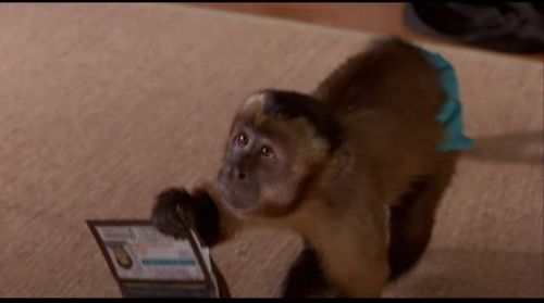 Monkey Trouble (1994) AC3 DVDRip XviD