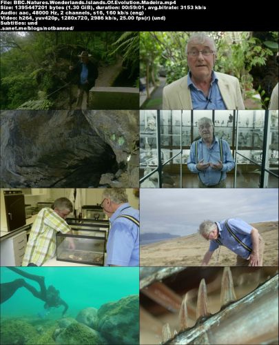 BBC - Nature's Wonderlands: Islands of Evolution - Madeira (2016) 720p HDTV x264-MVGroup
