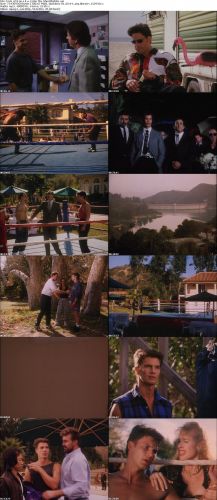 Fists of Iron 1995 DVD XviD