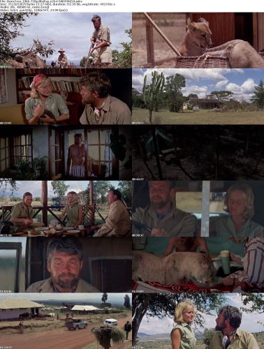 Born Free 1966 720p BluRay x264-SADPANDA