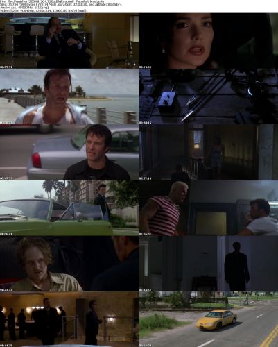Punisher 2004 H264 720p BluRay AAC PapaFatHead