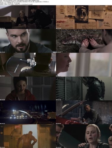 The Demolisher 2015 720p BluRay H264 AAC-RARBG