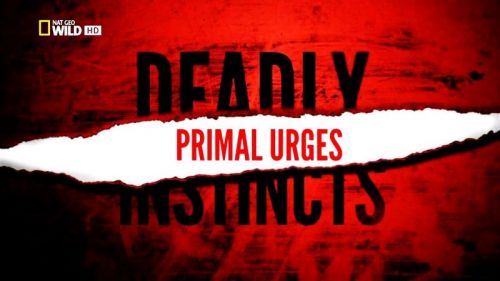 National Geographic - Deadly Instincts: Primal Urges (2016) 720p HDTV x264-MVGroup