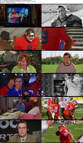 The Waterboy 1998 H264 1080p BRRip AAC PapaFatHead m4v