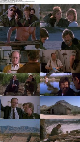 Flashpoint 1984 DVDRip x264-HANDJOB