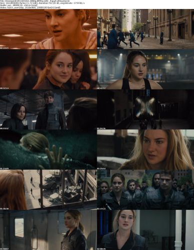 Divergent 2014 H264 1080p BRRip AAC PapaFatHead m4v