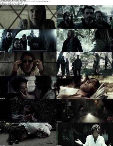The Veil 2016 DVDRip x264-WiDE