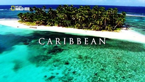 National Geographic - Wild Islands: Caribbean (2015) 720p HDTV x264-MVGroup