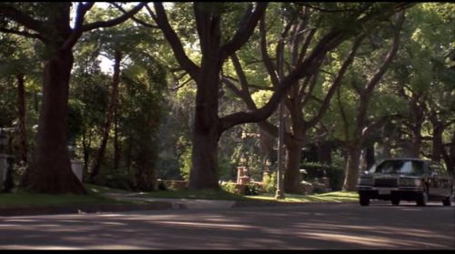 Monkey Trouble (1994) AC3 DVDRip XviD