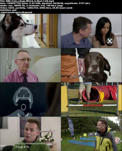 BBC - Cats v Dogs: Which is Best? (2016) 720p HDTV x264-MVGroup