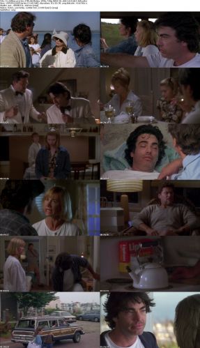 To Gillian on Her 37th Birthday 1996 720p WEB-DL AAC2 0 h264-HAi