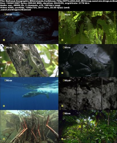 National Geographic - Wild Islands: Caribbean (2015) 720p HDTV x264-MVGroup