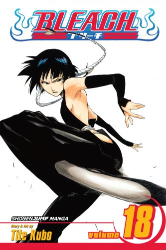 Bleach v18 (2007)