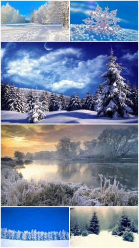 Winter (Part 15)