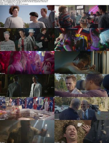 Blue Mountain State The Rise Of Thadland 2016 WEBRiP AC3 XViD-FGT