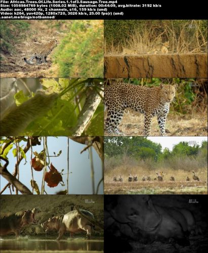 Discovery Channel - Africa's Trees of Life (2016) 720p HDTV x264-MVGroup