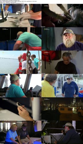 Big Fish Texas S01E08 Deckhand Down HDTV x264-SQUEAK
