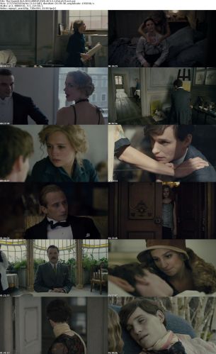 The Danish Girl 2015 BRRiP XViD AC3 5.1 ReLeNTLesS