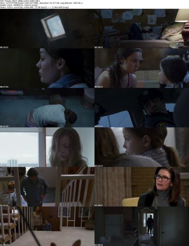 Room 2015 480p x264-mSD