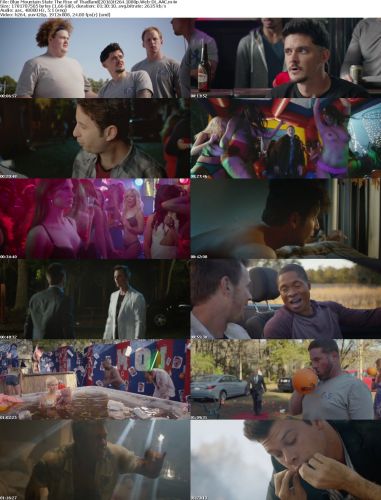 Blue Mountain State The Rise of Thadland 2016 H264 1080p Web-DL AAC PapaFatHead m4v