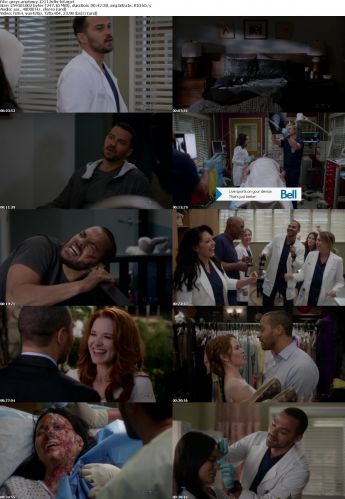 Greys Anatomy S12E11 HDTV x264-LOL