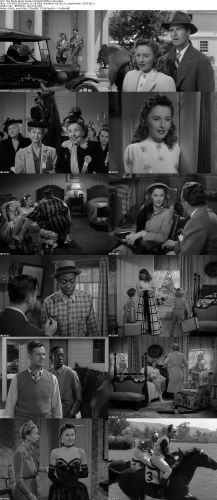 The Bride Wore Boots 1946 DVDRip x264