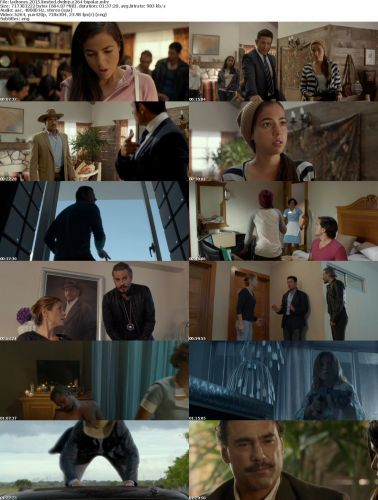 Ladrones 2015 LIMITED DVDRip x264-BiPOLAR