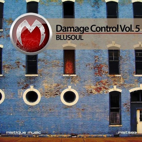 VA - Damage Control Vol. 5 (2016)