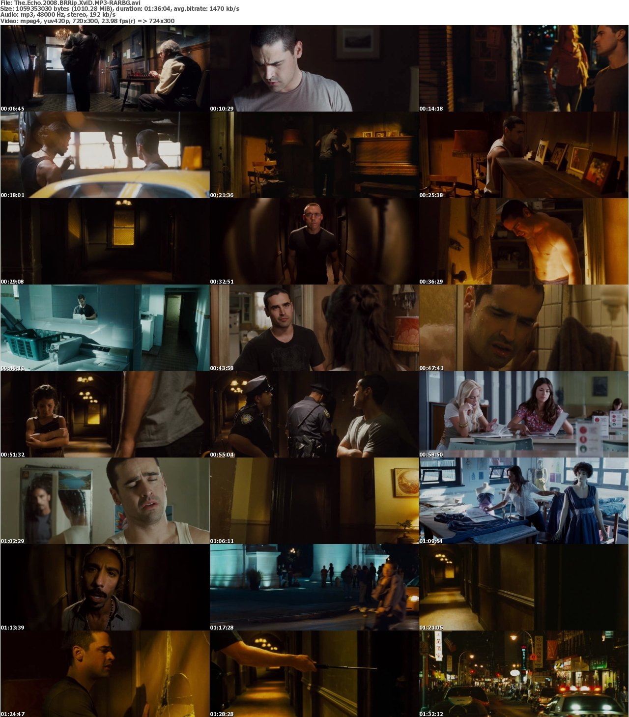 The Echo 2008 BRRip XviD MP3-RARBG