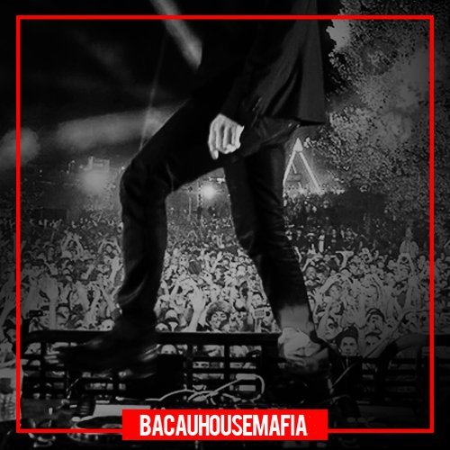 Various Artists - BacauHouseMafia Vol.2 (2016)