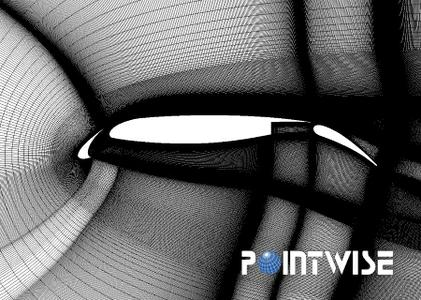 PointWise 17.3 R5