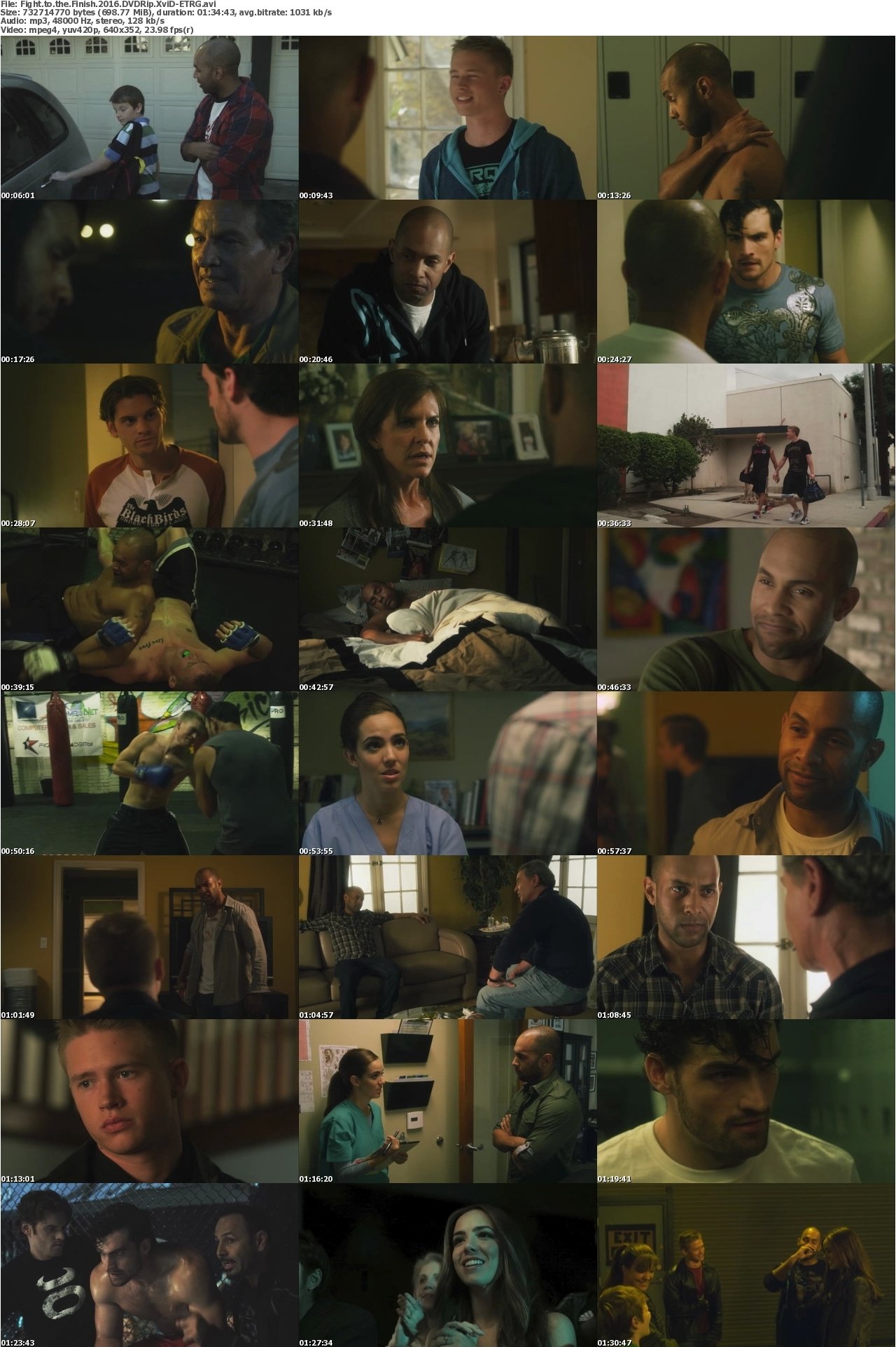 Fight to the Finish 2016 DVDRip XviD-ETRG